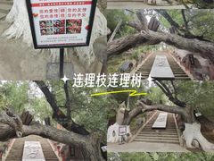 -水磨沟公园