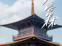 -广富林郊野公园