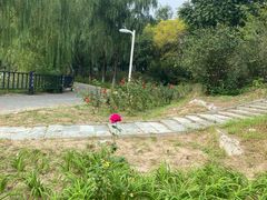 -仁和公园(顺义区)