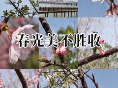 -艾溪湖湿地公园