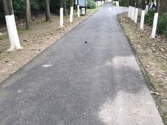 -昆山城市生态森林公园