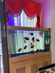 -WENDY·温迪皮肤管理