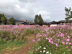 -大洛水码头