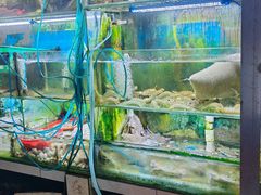-阳江餐厅·30年老字号·粤菜海鲜大排档