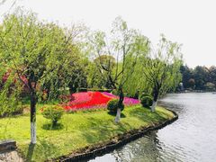 -上海鲜花港