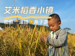 -艾米稻香小镇
