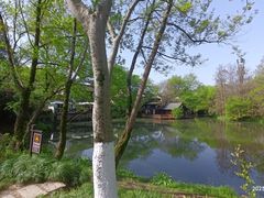 -西溪国家湿地公园