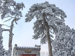 -妙峰山风景名胜区