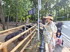 -大连森林动物园