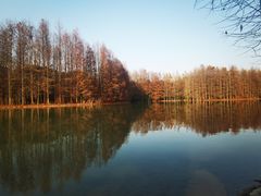 -上海海湾国家森林公园