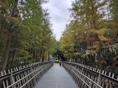 -福道