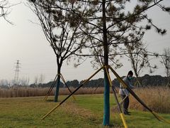 -汉长安城未央宫国家考古遗址公园