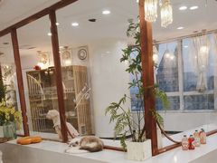 -共舞时光猫咖·狗咖(新街口店)