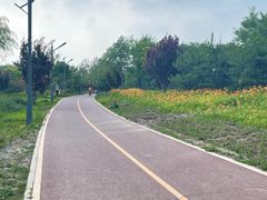 -马家湾湿地公园