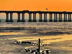 -宝安西湾红树林湿地公园