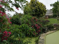 -张坝桂圆林公园