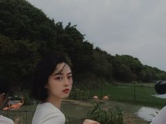 -南宁南湖公园
