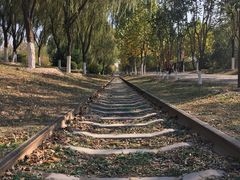 -永定河休闲森林公园