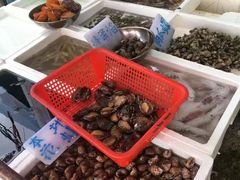 -外伶仃岛海鲜市场