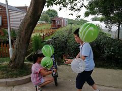 -龙湖东院农庄(乡间小路店)