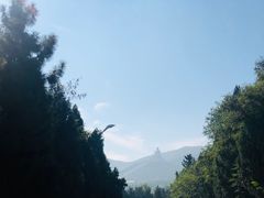 -龙口南山旅游景区