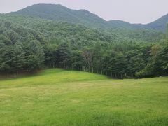 -汤旺河林海奇石景区