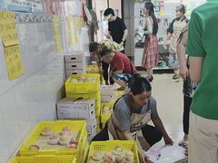 -老袁家蜜桃农场·阳山水蜜桃