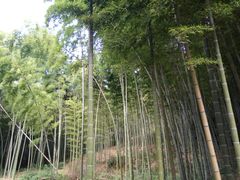 -南京金牛湖风景区
