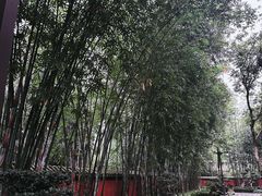 -成都武侯祠博物馆