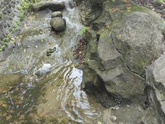 -广州神农草堂中医药博物馆