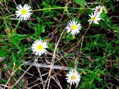 -郑州方特梦幻王国