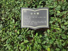 -炮台山公园