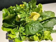 -百年果林椰子鸡(中洲店)