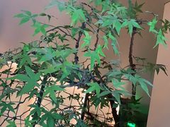 -潮上潮(南中环店)