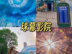 -海合安武汉极地海洋公园