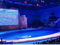 -华夏文旅海洋公园