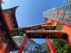 -东莞市大岭山森林公园