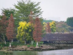 -海珠湖公园