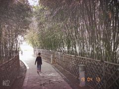 -春晖园度假酒店温泉