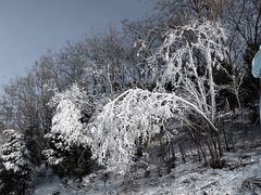 -北京南山滑雪场