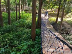 -四明山国家森林公园