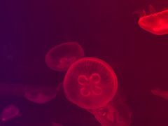 -福州罗源湾海洋世界旅游区