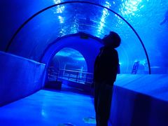 -太平洋海底世界