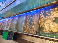 -渔家风味·鲅鱼水饺·央视展播·海鲜天津菜(开发区店)