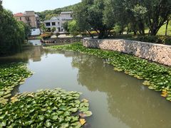 -乌石塘景区