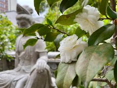 -福州开元寺