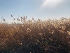 -天津东丽湖风景区