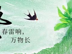 -山河屯铁锅炖鲜鹅·东北菜(开发区一店)