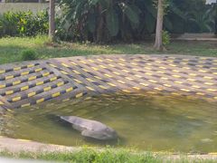 -合肥野生动物园