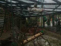 -灵玲国际马戏城